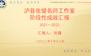 泸县张健名师工作室2021--2022年度总结