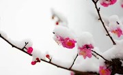 烛之武退秦师（第三课时教案）