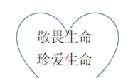 生命只有一次