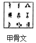 2e791899c1754a9bbee90114720e9e07.Png