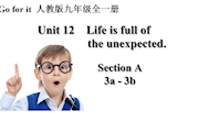 2.课件：Unit 12 Life is full of the unexpected.(3a-3c)---欧国丽